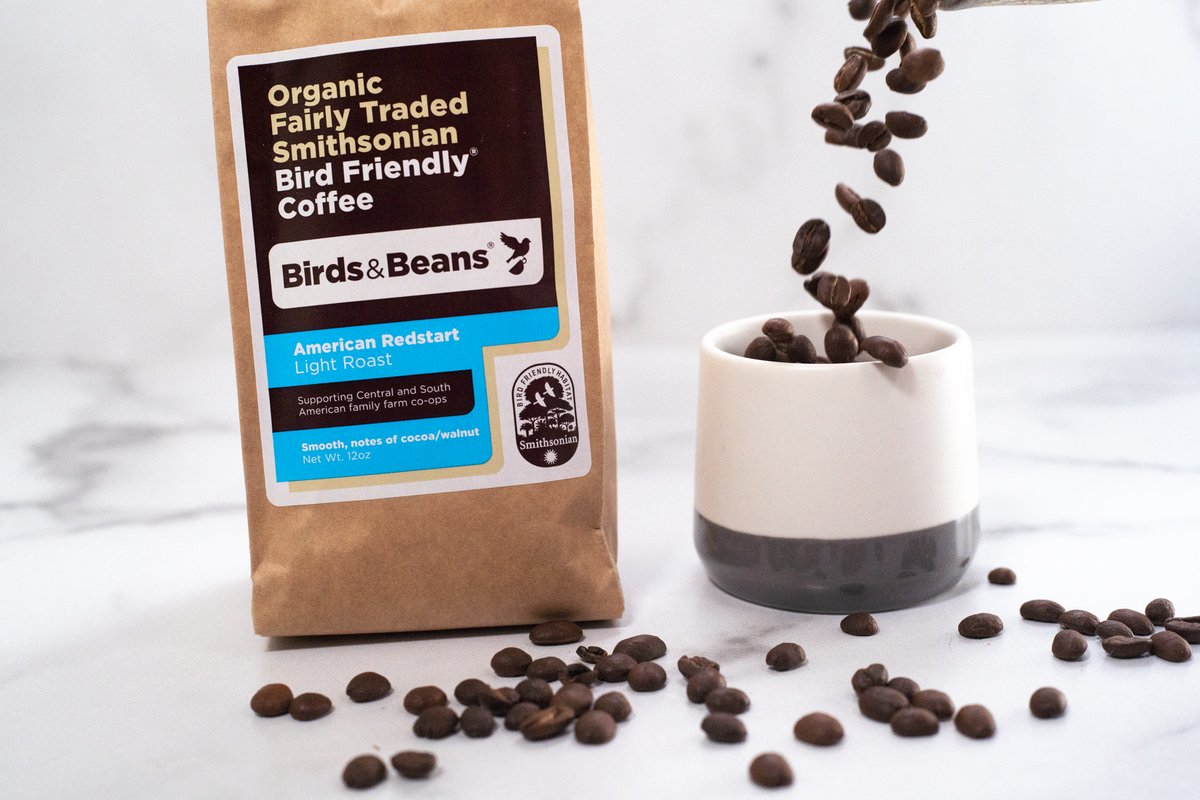 BirdsBeans's tweet photo. Use this time to support small businesses. At Birds &amp; Beans Coffee we pay our farmers the top price for coffee so they can keep growing coffee the old-fashioned way and they can keep supporting their workers and families. 
#SupportSmallBusinesses #birdsandbeans https://t.co/f6DVphIT7w