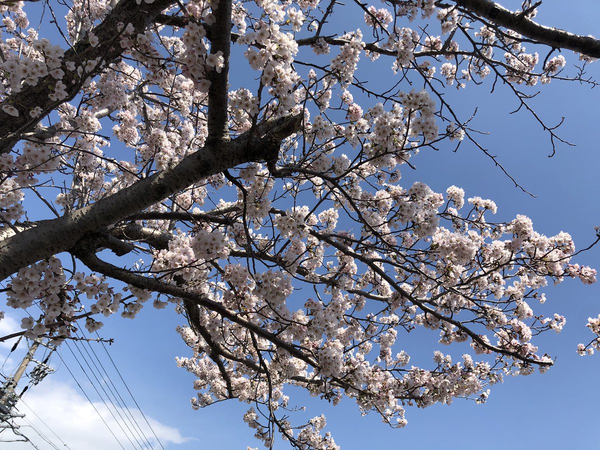 ない まっすぐ ふらつく 歩け