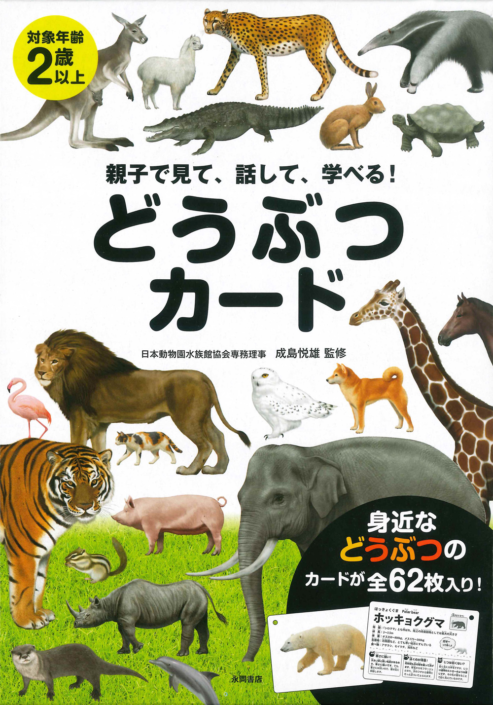 永岡書店 編集部 永岡書店 の4月新刊 親子で見て 話して 学べる どうぶつカード リアルな動物イラスト のカード62枚入り 好奇心を育み 新しい言葉と出会い 未知のものについて考える力を育てます 親子のコミュニケーションにぜひお役立て