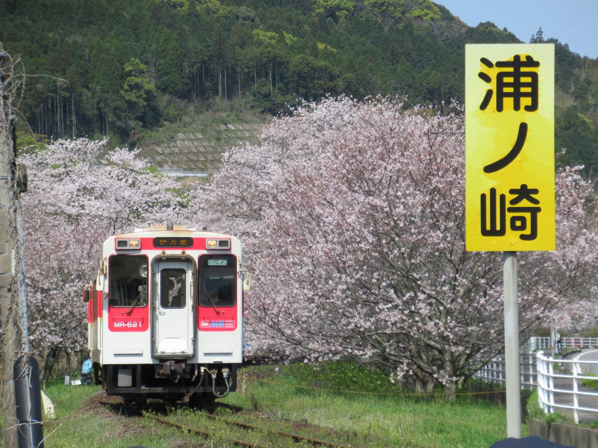 ひろくん 九州は元気 على تويتر 佐賀の桜 名所 松浦鉄道 浦ノ崎駅 花見日和 撮り鉄日和 4 2 浦ノ崎駅にて