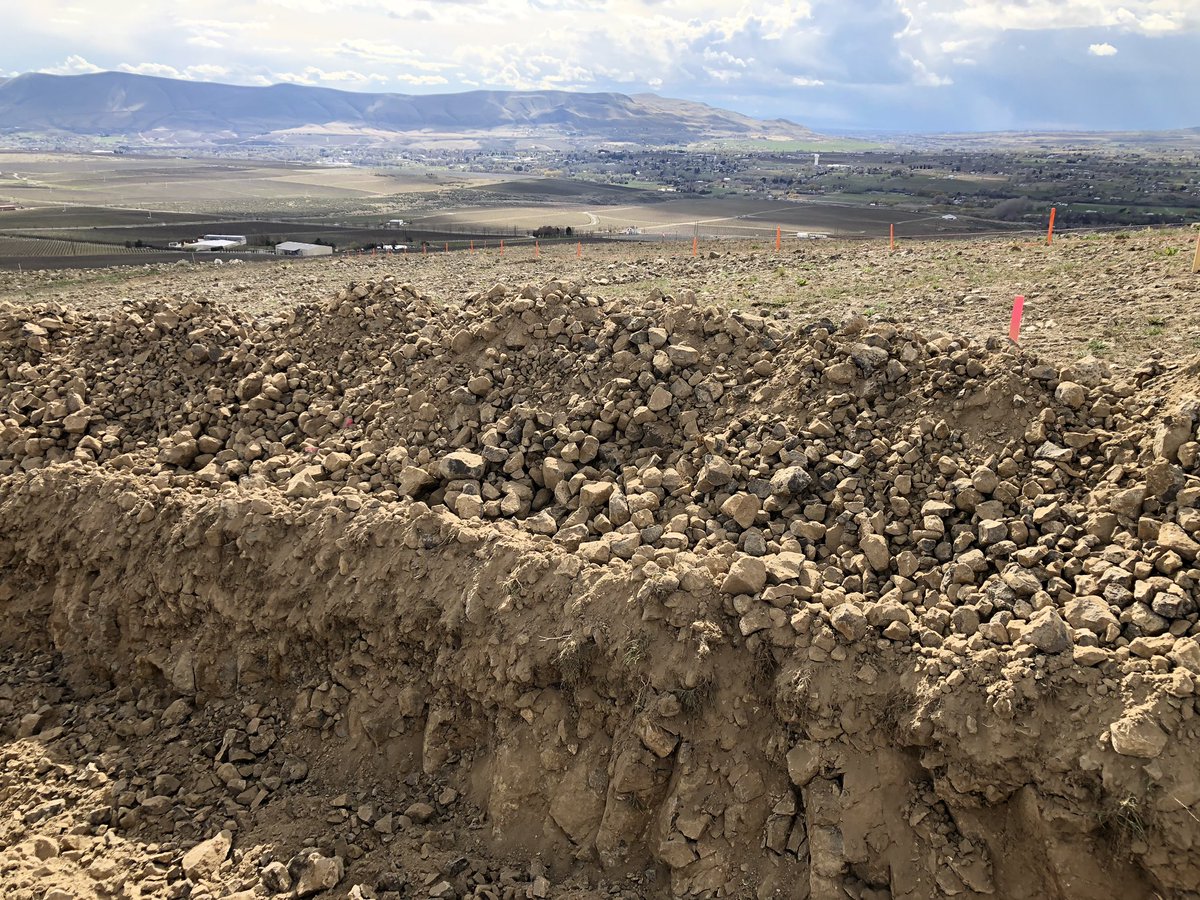 fierceterroir's tweet photo. Preparing the new #Grenache block for planting at WeatherEye. Pickaxe and breaker bar territory up here. #RedMtnAVA #WAwine https://t.co/PtPfOZ4GHx