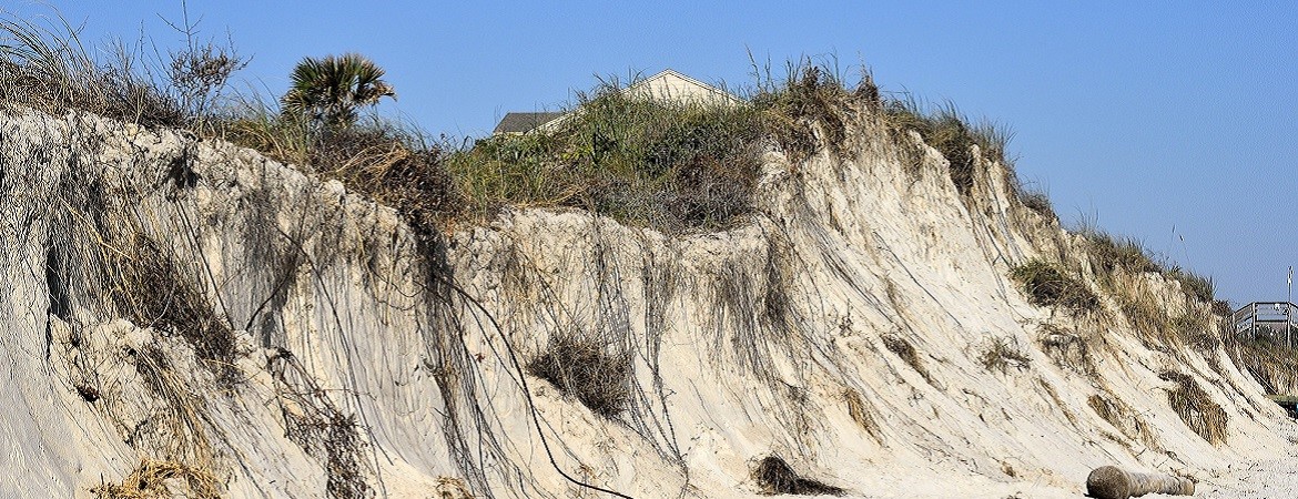 Climate Systems Hub tweet media