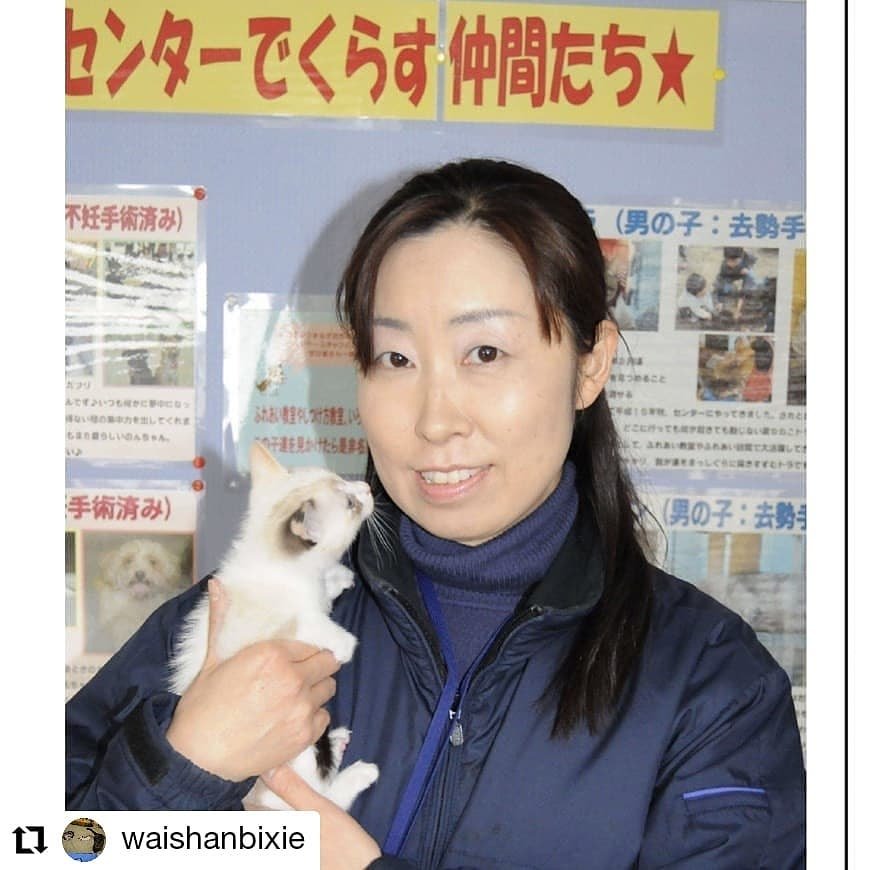 徳島動物愛護センター