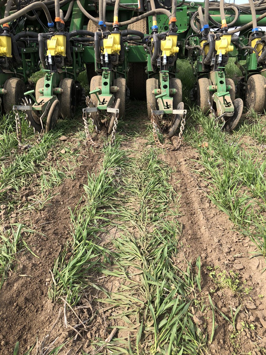 Lynn Fahrmeier tweet media