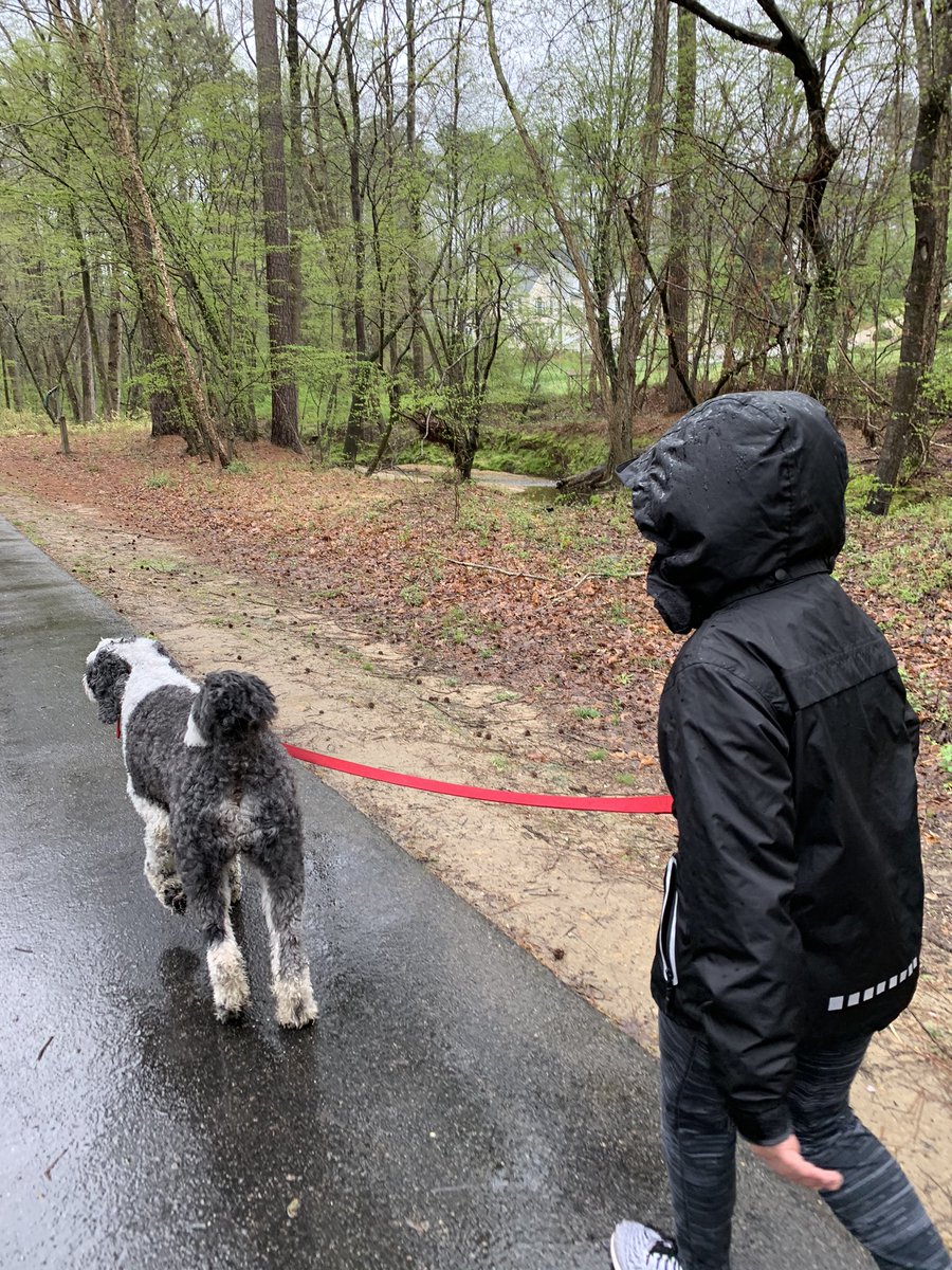 jdwolfpack's tweet photo. Our puppy loves her walk everyday.
#PantherPride #DDMSVirtualSpiritWeek
@DDMSBuzz https://t.co/cvn3HiYWBR