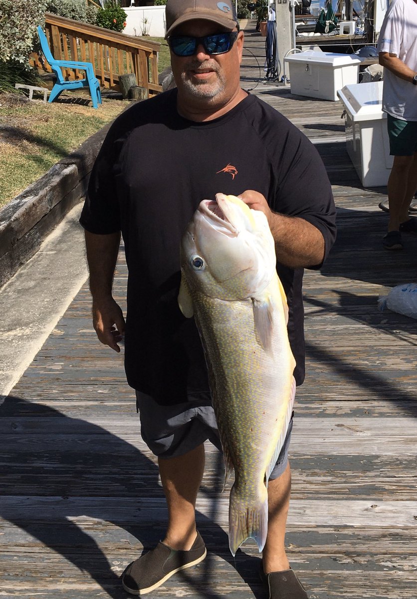 LauderdaleFish's tweet photo. Spring fishin heating up. No COVID offshore. 954-629-0211 https://t.co/JHFbLWi35k