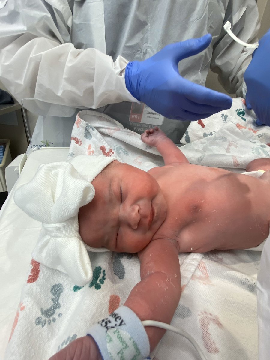 Ryan Kowalewski tweet media