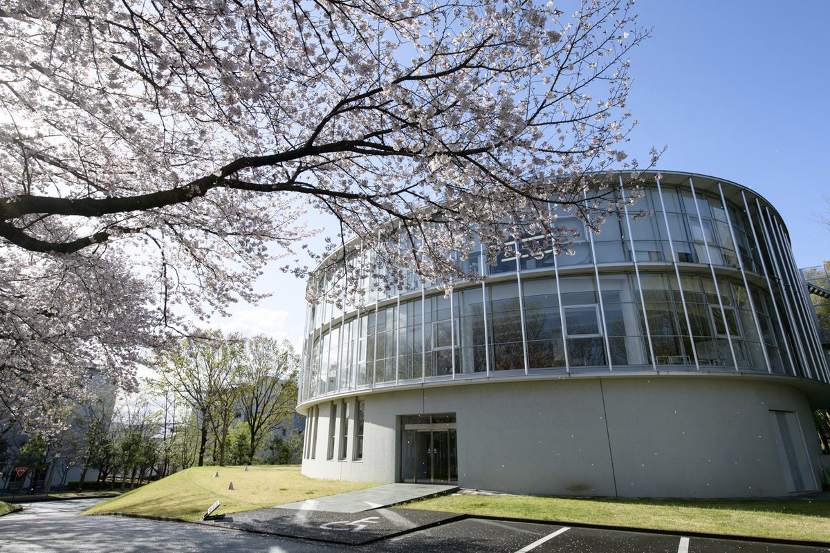 ট ইট র 湘南藤沢itc公式アカウント 年sfc内桜開花情報 4 2 7 00am現在 T館横 満開 クラブハウス棟横 散り始め 中高駐車場前 散り始め 南門 中高側 アプローチ 満開 鴨池脇 散り始め 葉桜 本館横 ほぼ満開 遊水池脇 散り始め 葉桜 久々の青空