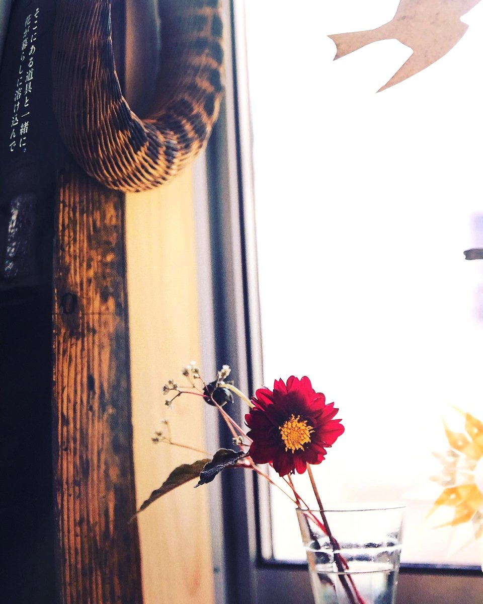 谷中 ひるねこbooks あなたの暮らしに似合う花 天然生活の本 生活に花 を取り入れるだけで その景色は全く違ったものになる 伊藤まさこ おさだゆかり 一田憲子 渡辺有子 フラワースタイリストが 縁のある18組の住まいに 季節の花をしつらえ