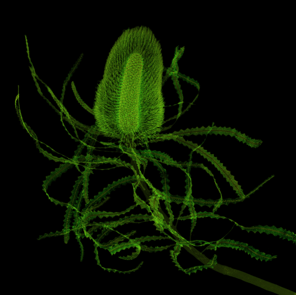 Monash Biomedical Imaging on Twitter "Mon_Bio_Imaging's CT scanner is not only used for