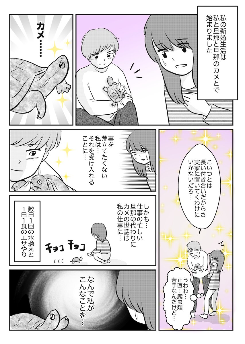 上野りゅうじん 11月下旬より新連載 On Twitter 新婚生活は夫とカメとで始まった というお話です 漫画担当しました 夫 の飼っていたカメのお世話をするうちに 夫の食事作りの方が苦痛に 新婚生活 カメ Https T Co Kubuqgppqf
