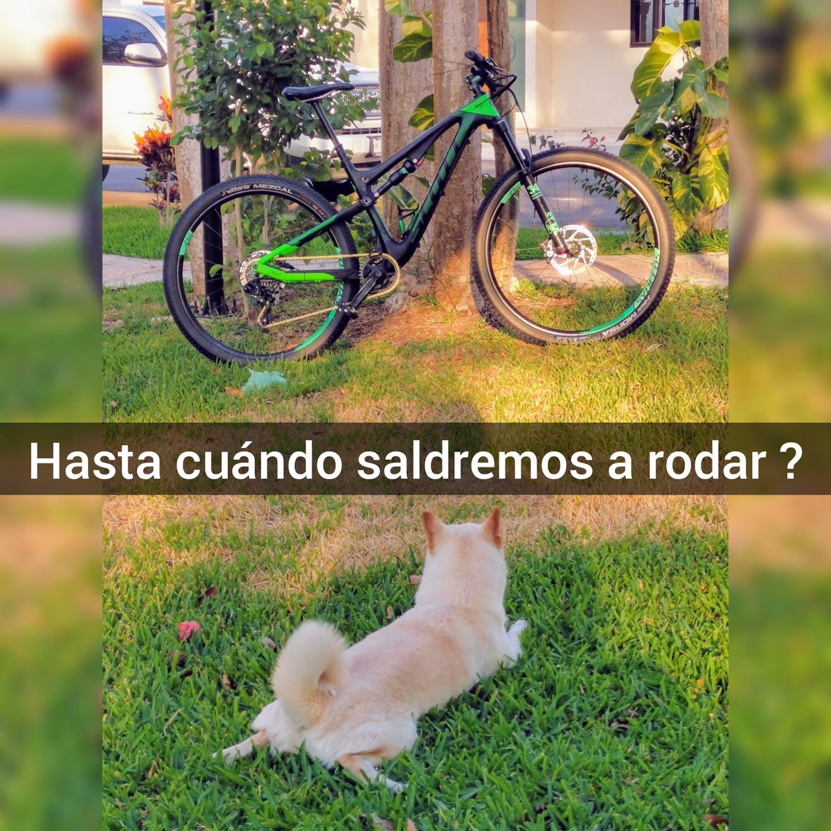 koox_balak's tweet photo. Ni modos a aguantar vara, la bici 🚴 puede esperar #StayAtHome #scottbikes https://t.co/2JpBFdbMxq
