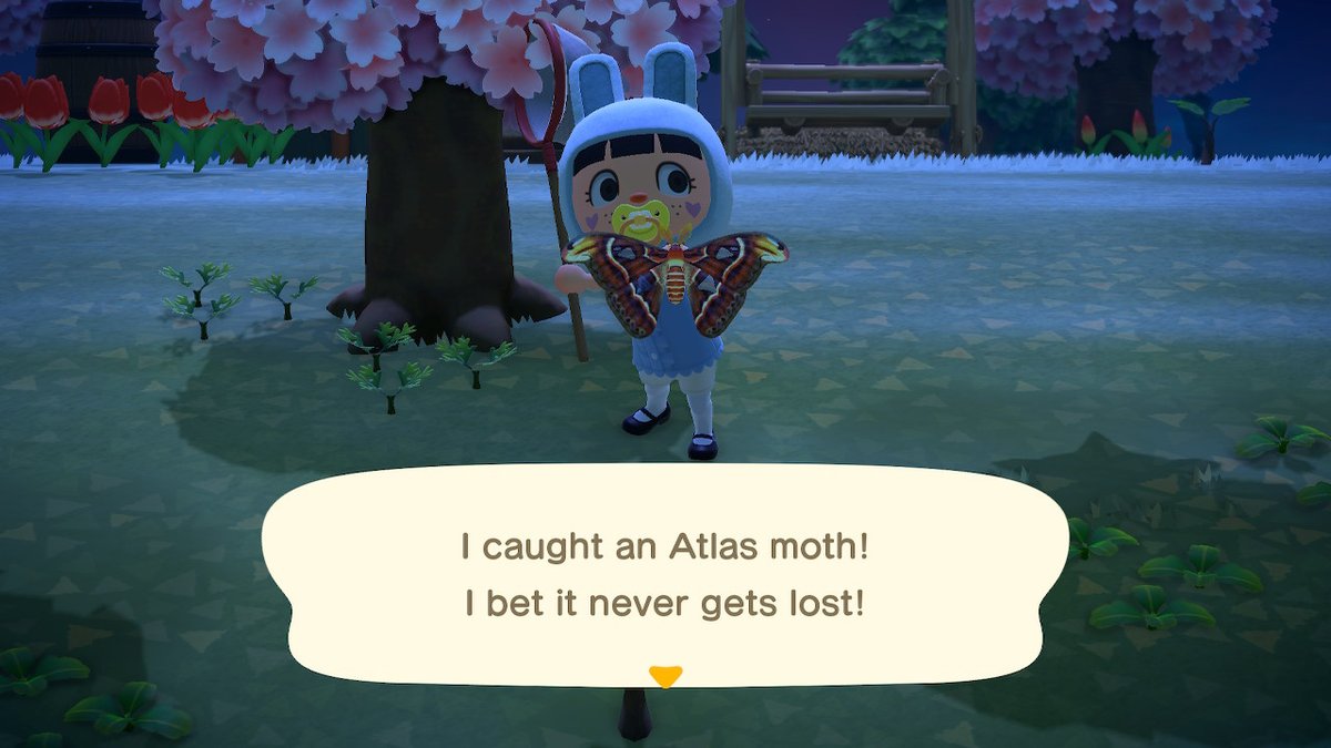 helltai's tweet photo. #AnimalCrossing #ACNH #NintendoSwitch https://t.co/pF3j45j2E8