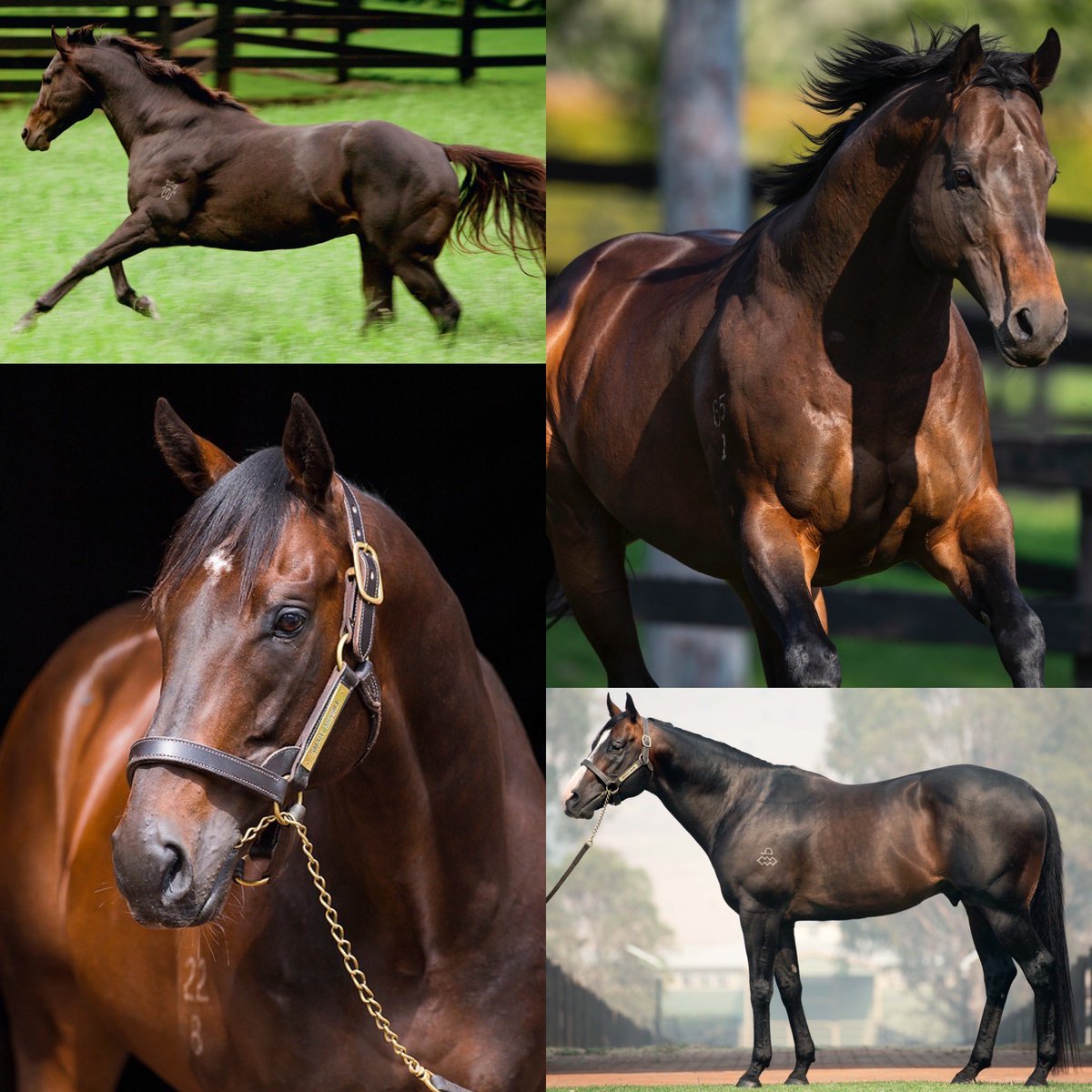 View image on Twitter