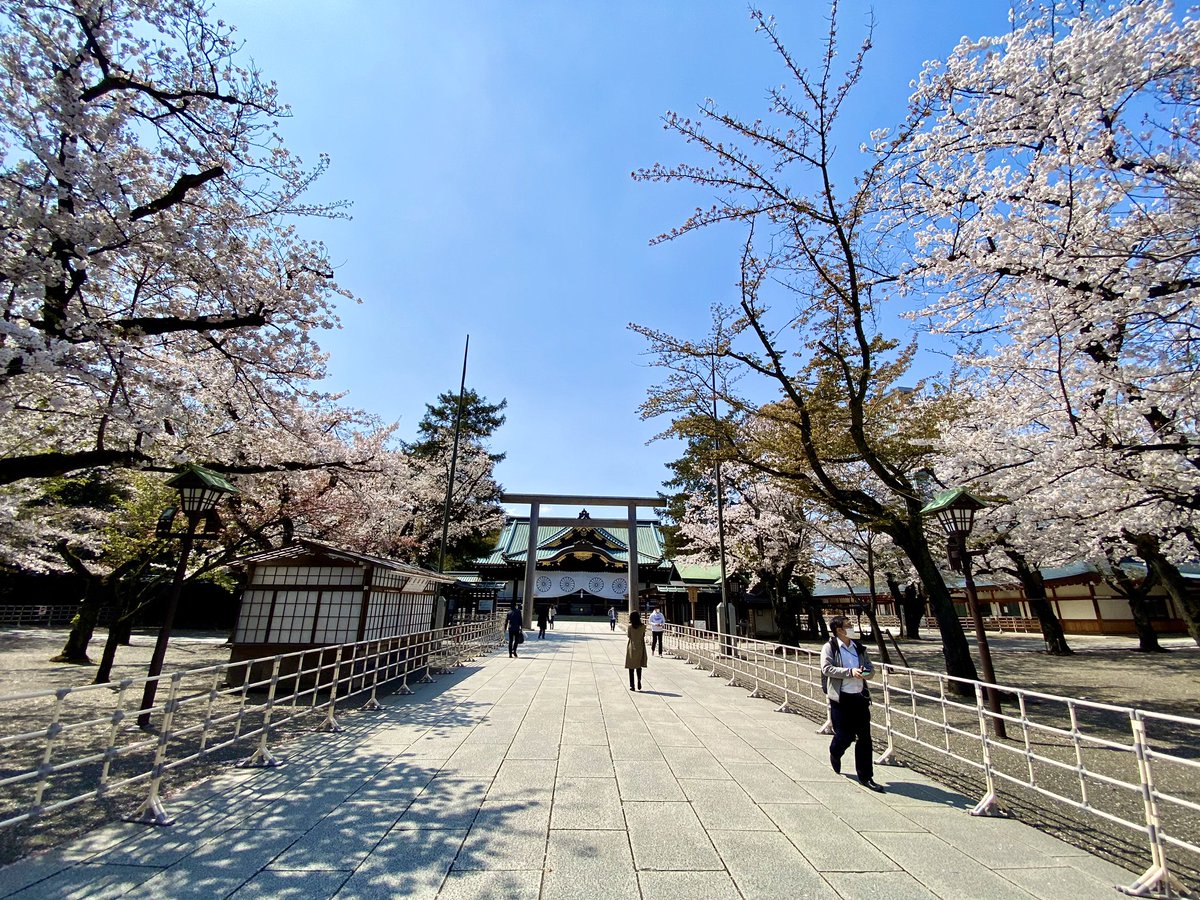 Uzivatel 堀江ガンツ Na Twitteru 近くまで来たので 靖国神社と日本武道館周辺で桜を鑑賞 靖国は 花見禁止どころか 柵が張り巡らされて 桜の木の下にも行けないようになってるのね お堀の周りはランチをたのしむ人が多数いて 束の間の平和という感じ