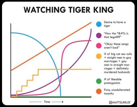 Timeline of watching #TigerKing