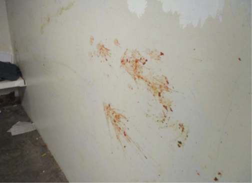Here's a suicide watch cell at Arizona's Eyman Prison's SMU-I unit filled with feces and blood. Don't you want to live here?