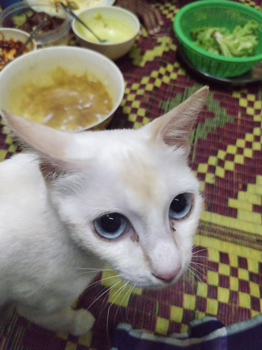 ranierahman's tweet photo. Nasi habis 😭😭 https://t.co/7rcN8xhvH6