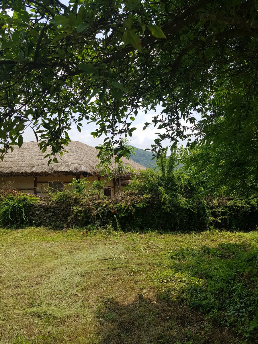 개마고원 화전민 (@ahs2352) on Twitter photo 