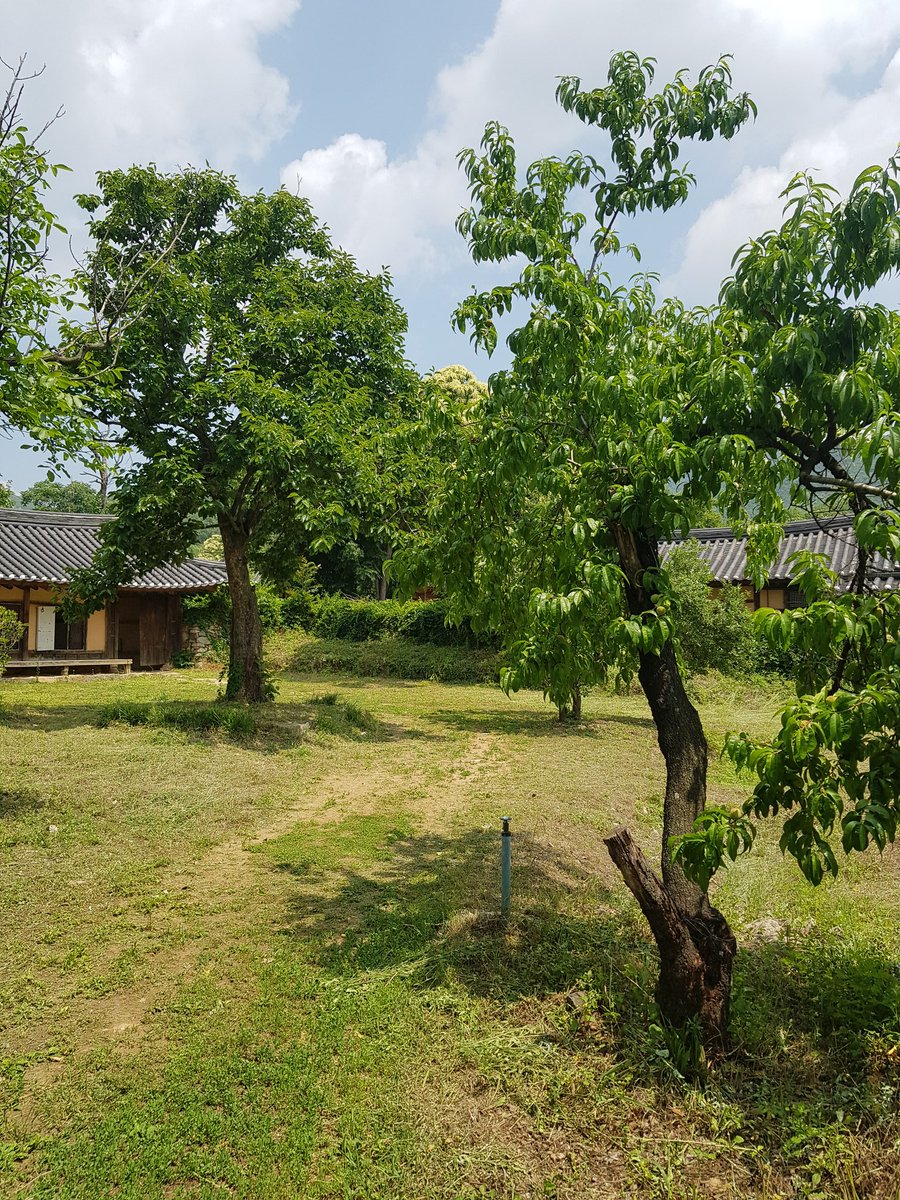 개마고원 화전민 (@ahs2352) on Twitter photo 