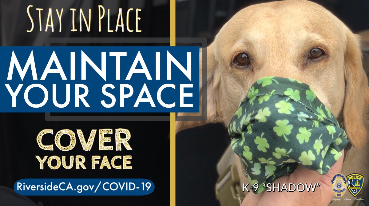 RiversidePolice's tweet photo. STAY IN PLACE, MAINTAIN YOUR SPACE, &amp; COVER YOU FACE.
Your favorite floppy-eared explosives detection canine “Shadow” wants to remind all his human friends how important it is to cover your nose and mouth right now.  For more information, go to https://t.co/LgYwh3DdXn. https://t.co/RhpvDavWpZ