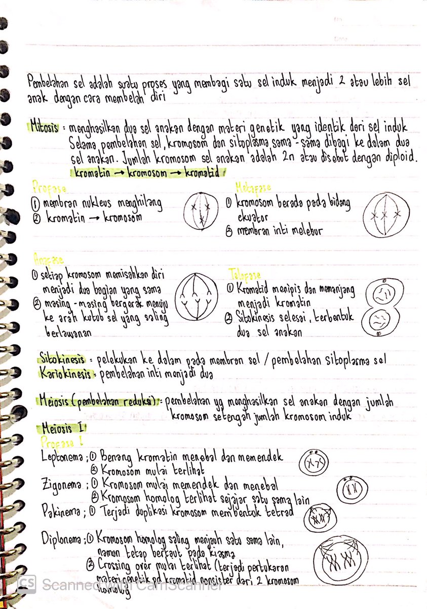 minheestars's tweet photo. mutuals yang smp kelas 9/8/7 pada butuh nggaaa? ini rangkuman materi un matematika sama ipa lengkap sisa aku un tahun 2019 kemarinn🥺 https://t.co/v3zEyQsesI