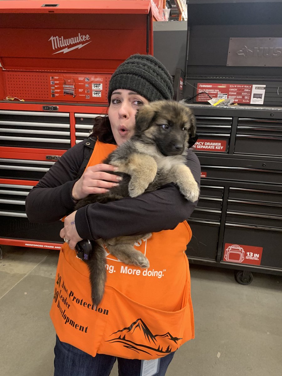 hilsteph's tweet photo. Puppy LOVE ❤️🥰❤️ https://t.co/uq8oRtDdNA