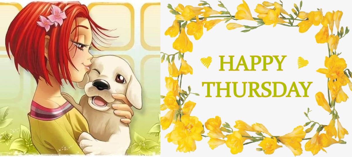 🌸Doce Carinho🌸 tweet media