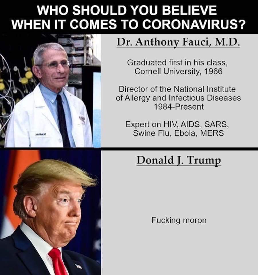 XingonaB's tweet photo. @nytimes #FUCKTRUMP &amp; his followers https://t.co/wHW7NOueQg