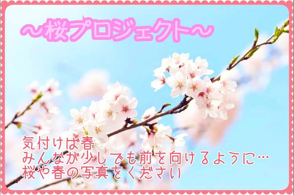 YOLOFUKUI's tweet photo. (・・)<YOLOがやっている活動は、物を売る仕事でも物を作る仕事でもありません。

そんなYOLOに「今」何ができるか。

〈Let`sアクション〉小さな小さなことだけど、自分たちが発信することで不安な話題から逸れて少しでも心が晴れたら…

#桜プロジェクト
#YOLOFUKUI https://t.co/3chIf48QKr