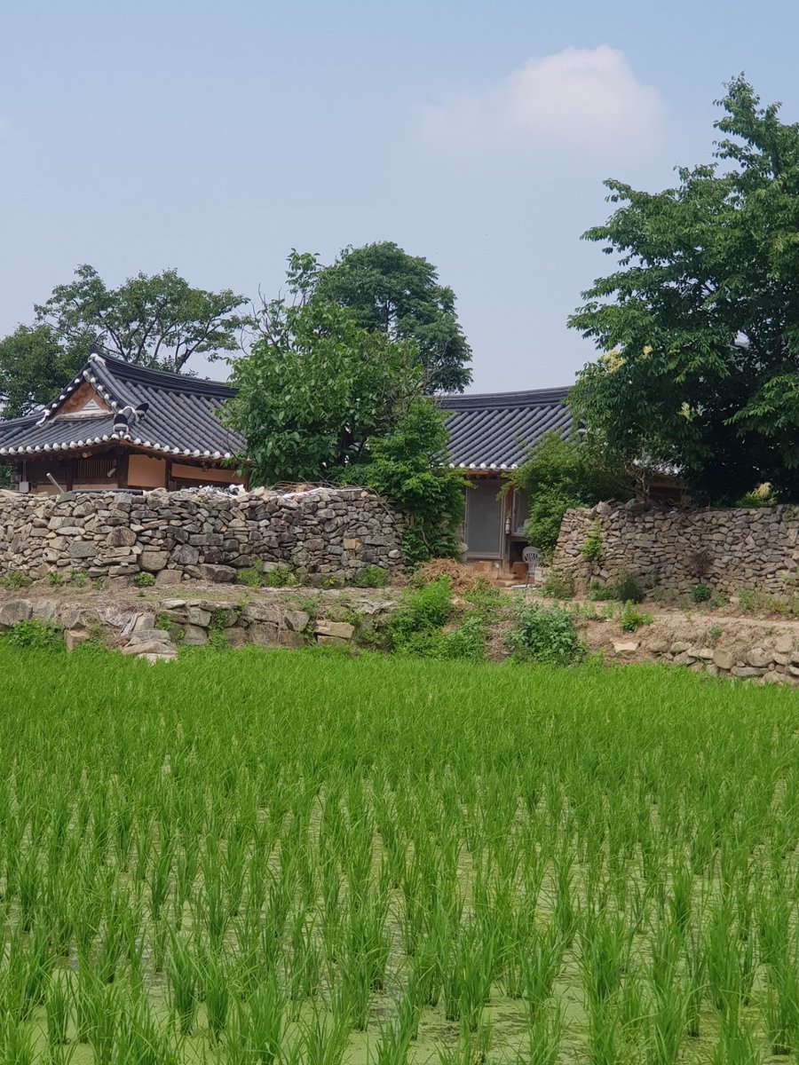 개마고원 화전민 (@ahs2352) on Twitter photo 