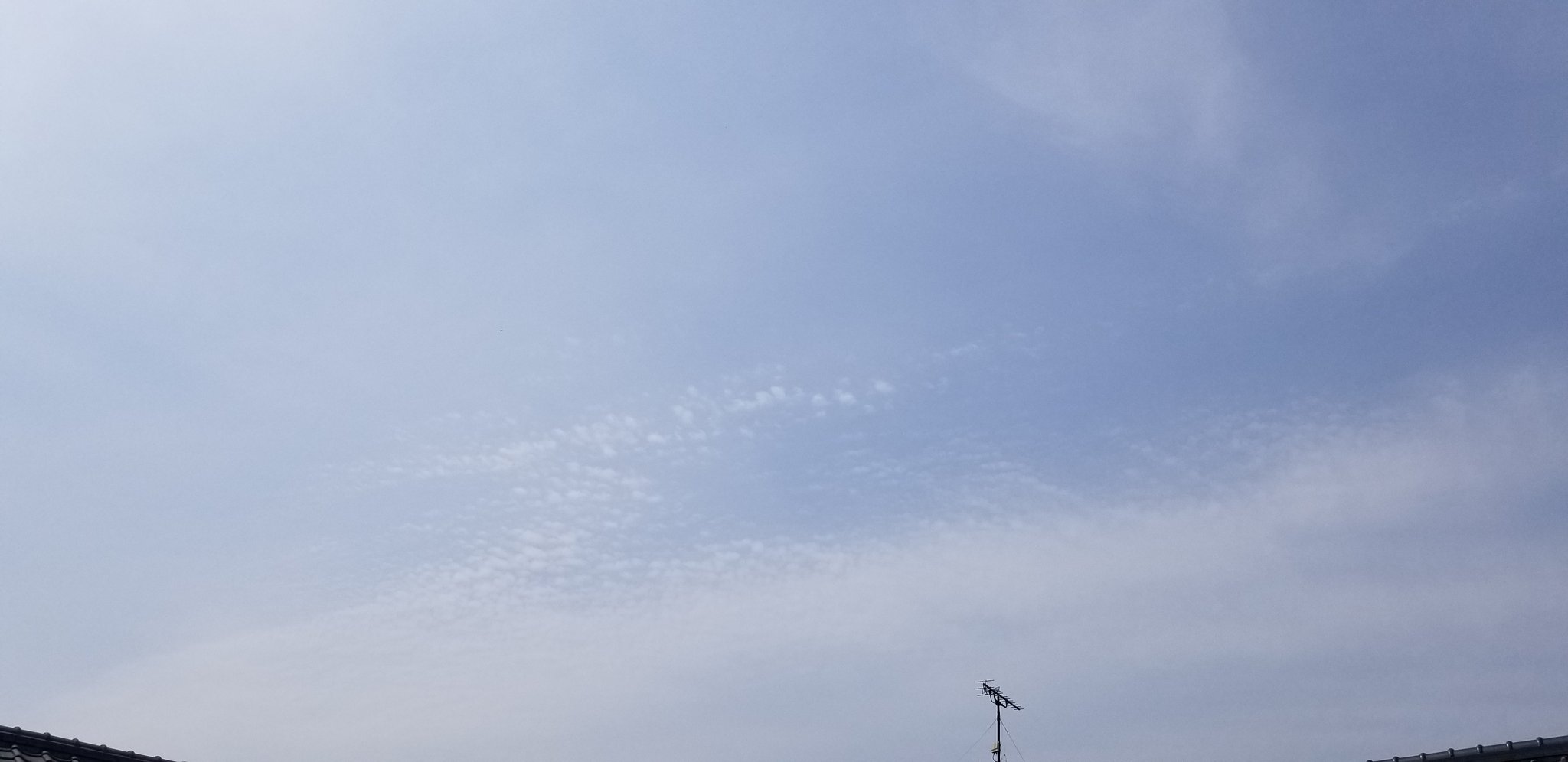 Okiron 昼下がり 13時53分頃の空 薄曇りの空 青い空に 薄く広がる雲 薄い雲の向こうの太陽が ぼんやり光る 薄い雲に波紋のように薄く広がる輪っか 今日の空 空日記 T Co Tcb8tkpeza Twitter
