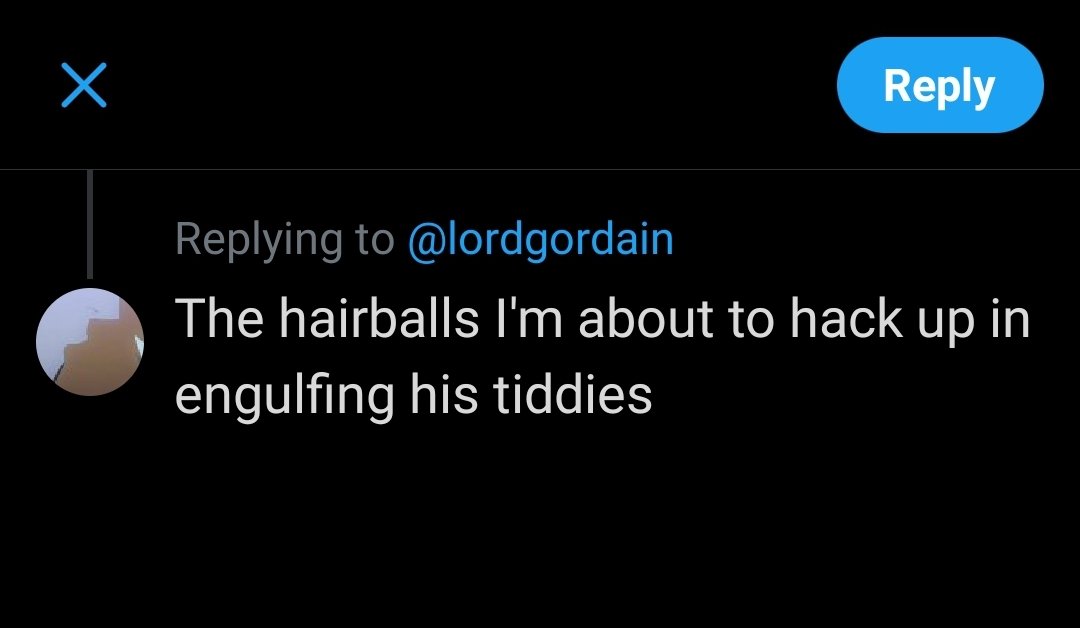 🍉 ~ Tea ~ 🍉 tweet media