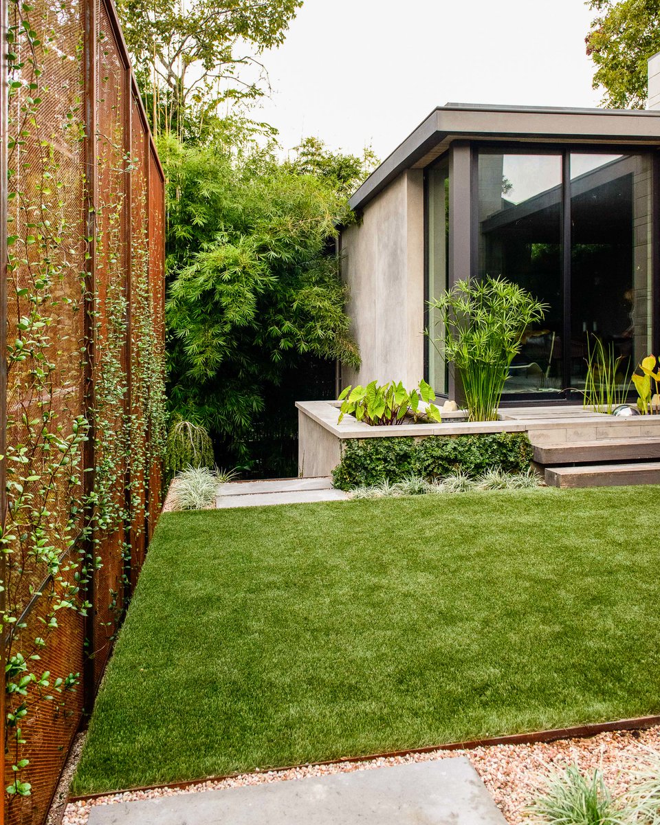 Steel privacy screen that creates a room from a series of photos I did of an Eden Garden Design Project @eden_garden_design #briandillardchitecture

#aiaaustin #austinarchitecture #austindesign #austinarchitects  #austinstyle #modernaustin #austingarden #austinphotographer