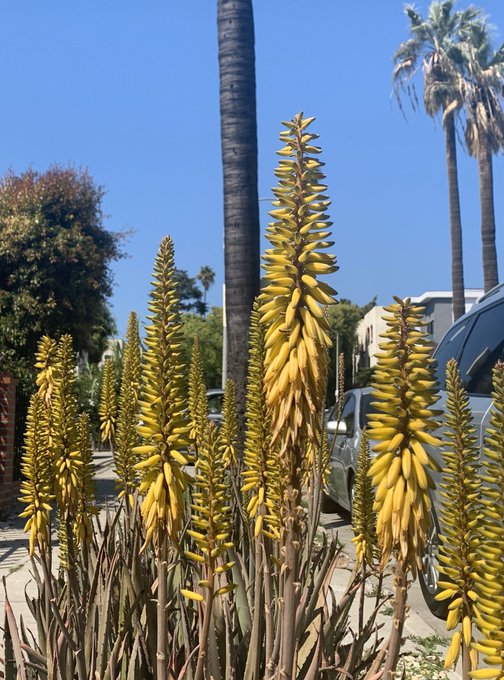 got my car back today and enjoyed nature a bit💕🌸 today was the first good day I&rsquo;ve had in quarantine