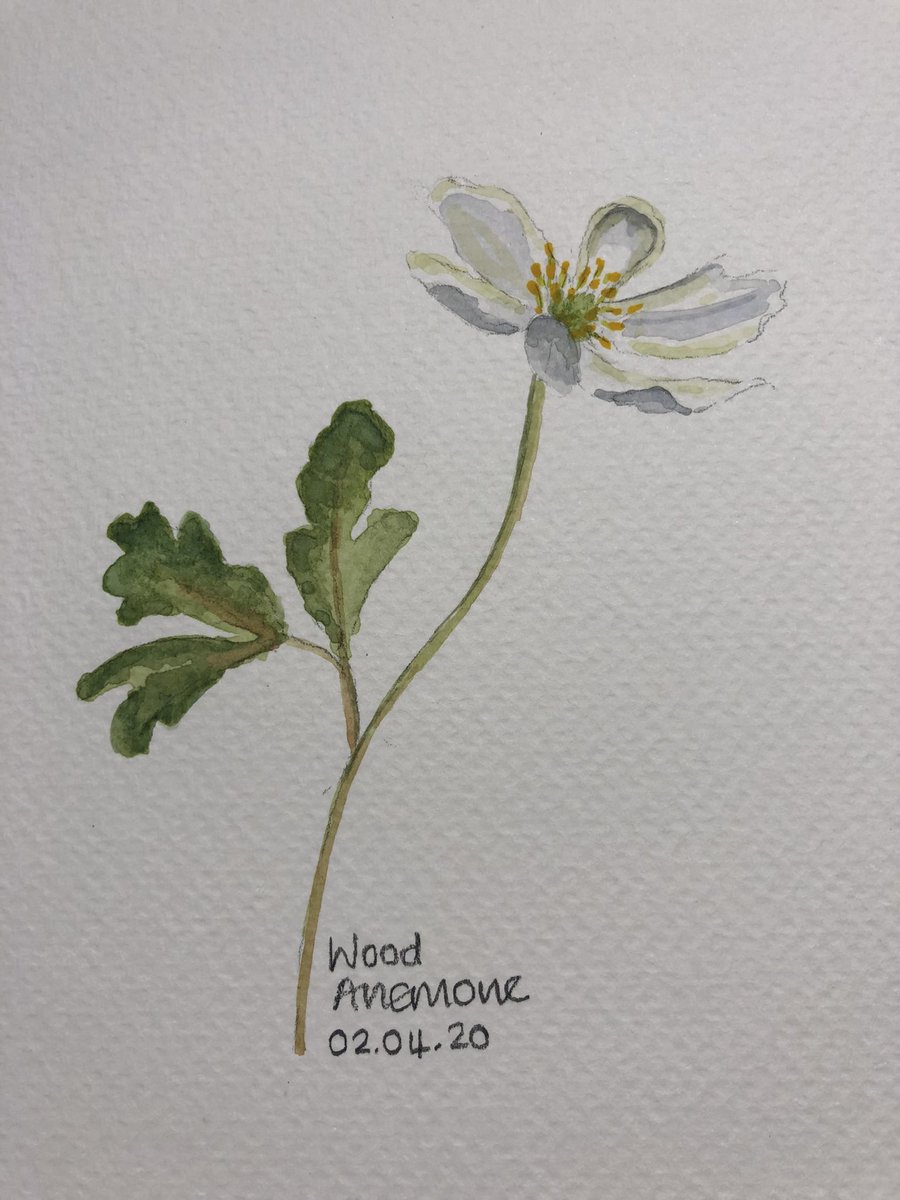 a-watercolour-a-day tweet media