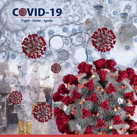 Spinco Biotech tweet media