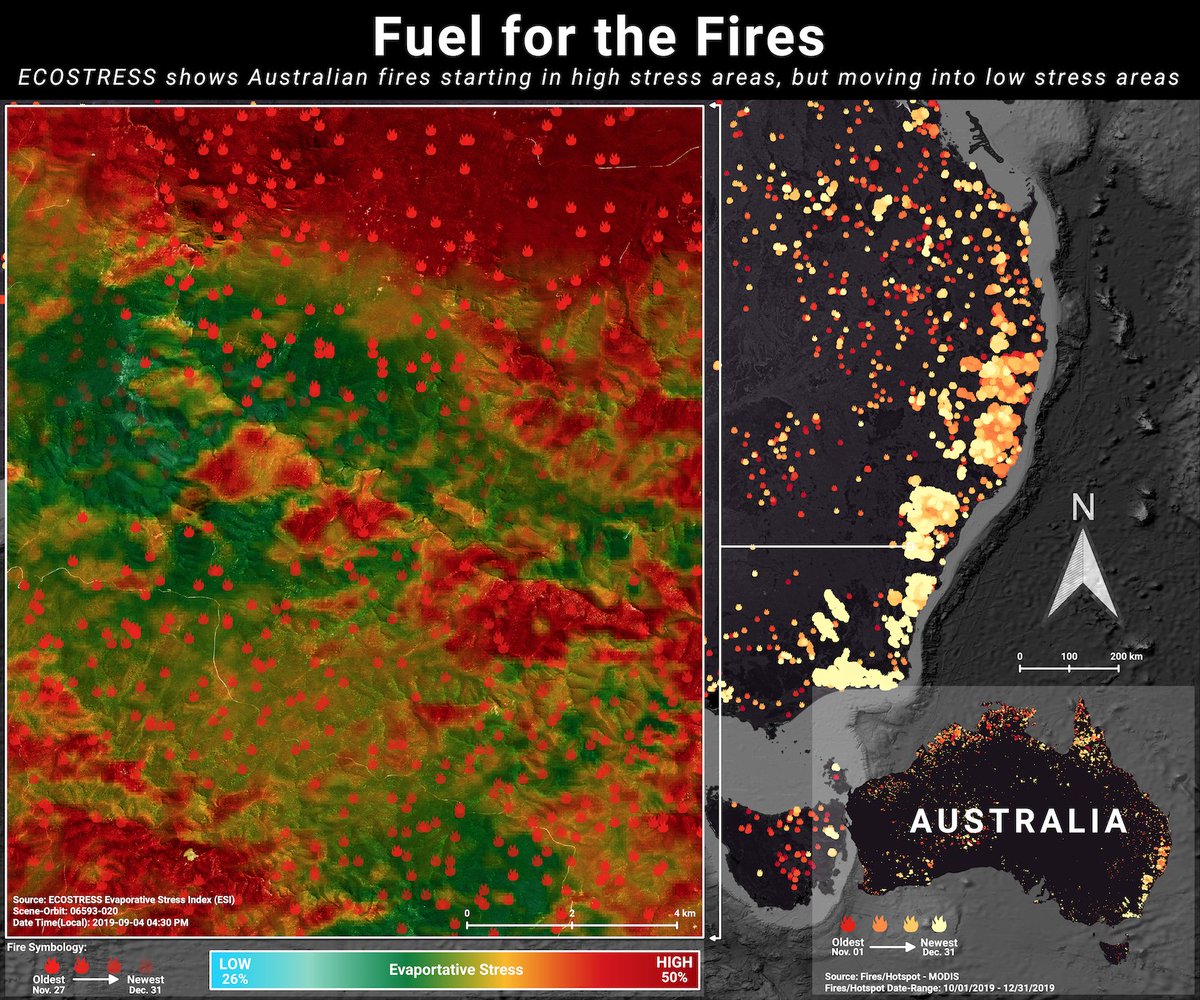 Josh Fisher tweet media