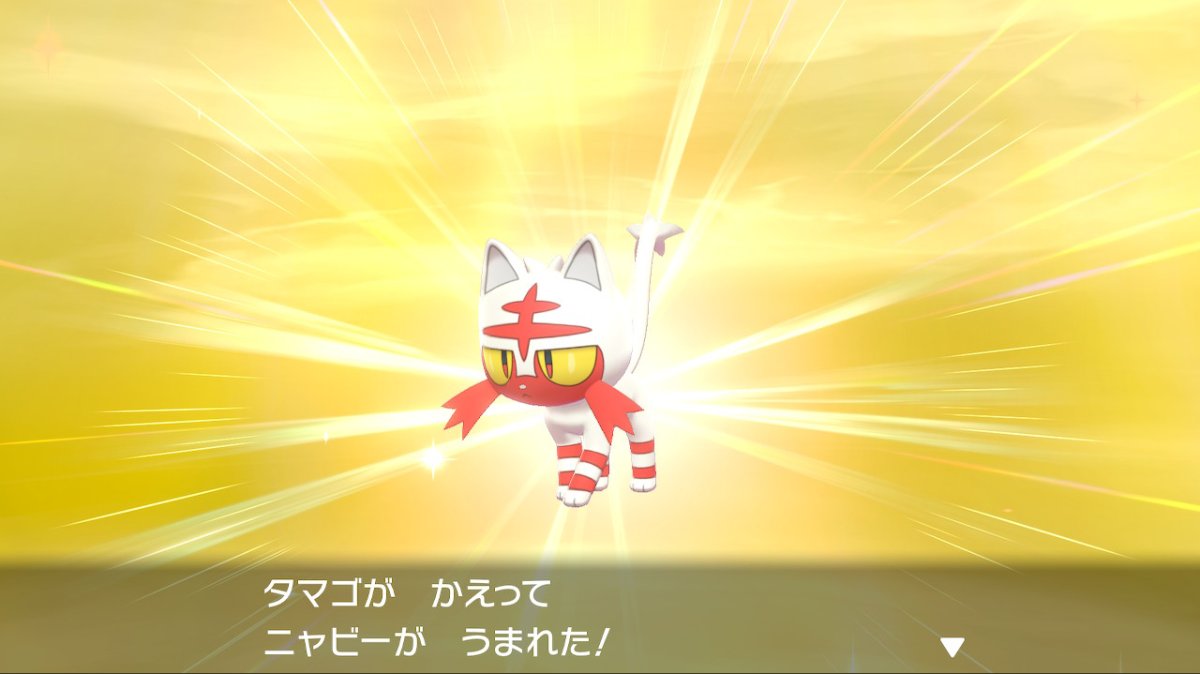 坂東凌平 ポケモン垢 Wiio9c3d1xqee1i Twitter 坂東凌平 ポケモン垢 Wiio9c3d1xqee1i Twitter