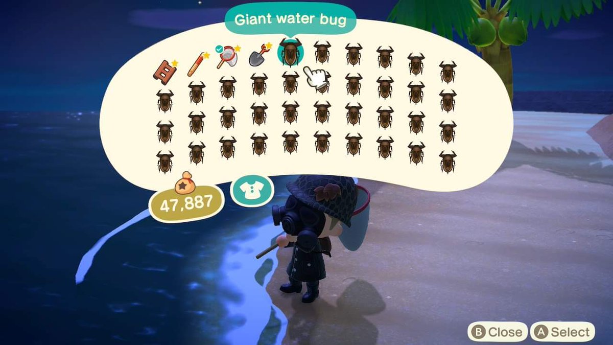 Guess I'm a giant water bug farmer now