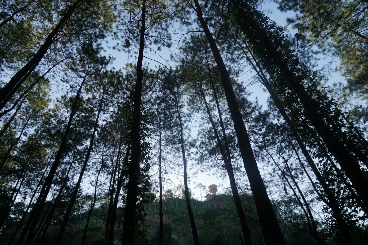 Indra Ariani tweet media