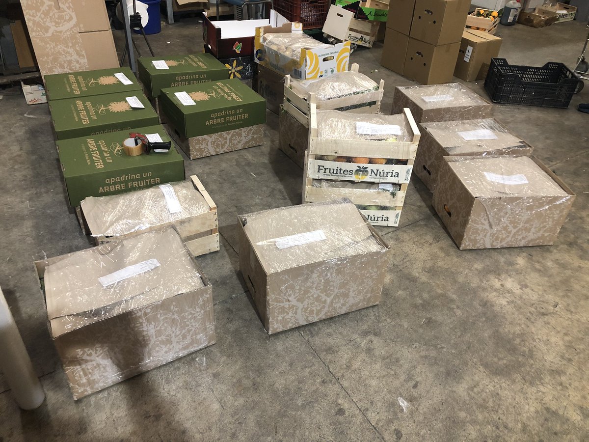 pere puigbert 🍏🍎🍐🍒🍊 tweet media