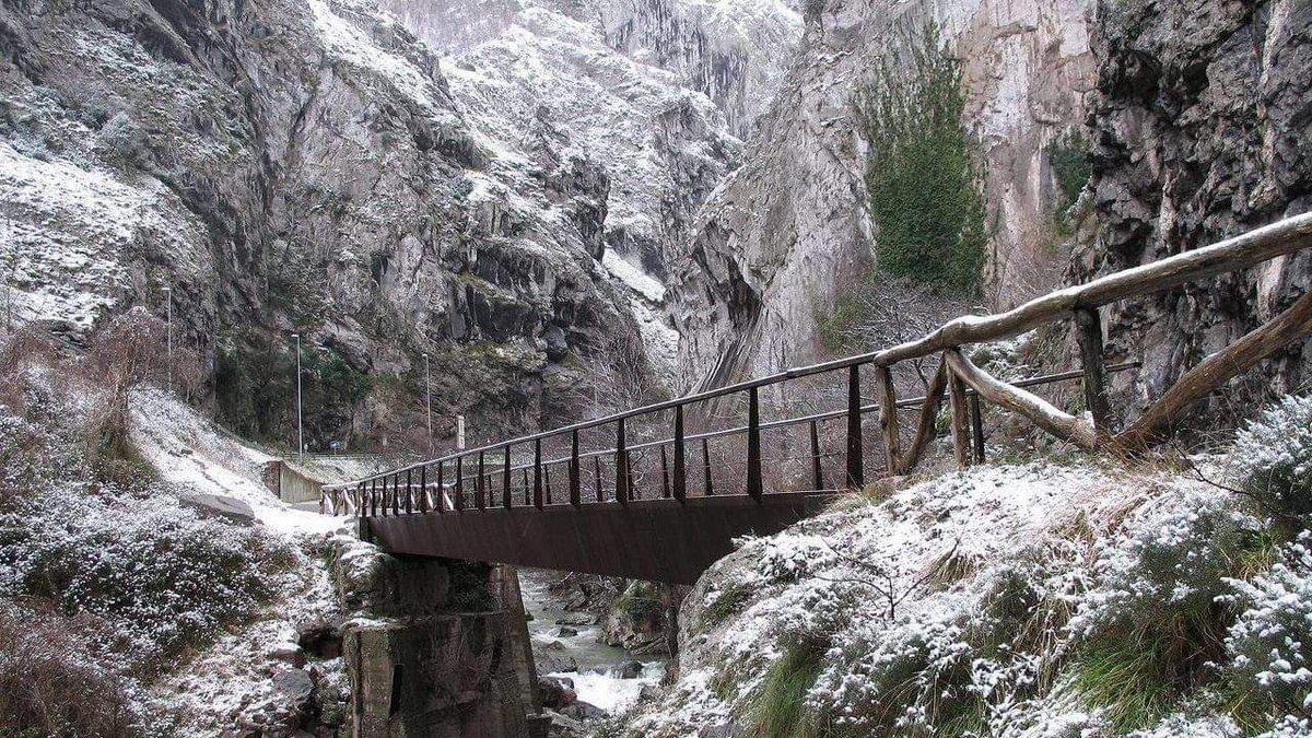 exploravia's tweet photo. 🗺 🐻
Nuestra propuesta de hoy es esta bonita #ruta apta para toda la familia: La Senda del Oso (#Asturias)
¡Tenedla en cuenta para cuando volváis a hacer la maleta!
Cerca de https://t.co/yNn2hVOw7a
Unidos, saldremos de esta. #Quédateencasa
#exploravia #covid19 #Turismorural https://t.co/glHVhDoS1N