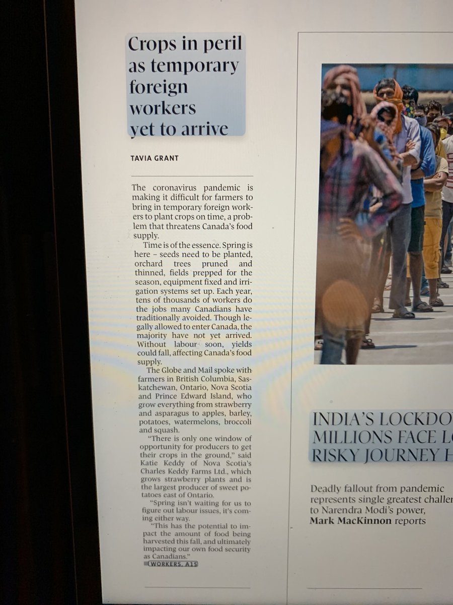 Matchettfb's tweet photo. Today’s Globe & Mail @VHsweetpotatoes Katie & Phil Keddy speaking about labour challenges. Given all the layoffs are there any Canadians including students who could help w this? #agmatters #needworkers @Agproudmary https://t.co/QwNX0RXD66