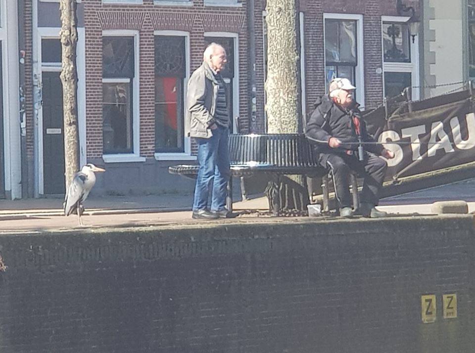 ikbinpopko's tweet photo. Mit zien drijen wachten op n viske... https://t.co/f7hloSfuMW