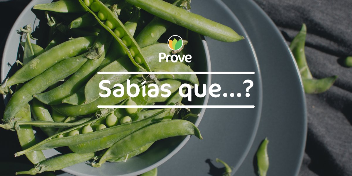 Prove_es's tweet photo. 🌿Esta #hortaliza  es originaria del sur de Europa y se ha cultivado desde antes de la era cristiana. Los #guisantes ya eran familiares a griegos y romanos, pero no se cultivaron en Europa a gran escala hasta mediados del siglo XVII. 

#gourmet #legumbre #nutrientes #dieta https://t.co/Ho3yP9hpCy