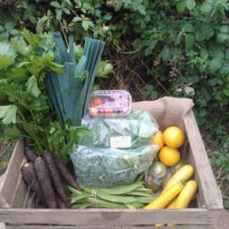 Great news. Brockman's Farm have now extended their delivery area so are now visiting: SE4, SE11, SE19, SE24, SE26 and surrounding areas. Visit brockmans.co.uk to place your order. <a href="/BrockmansMarket/">Market Stalls</a> <a href="/HornimanMuseum/">Horniman Museum and Gardens</a>