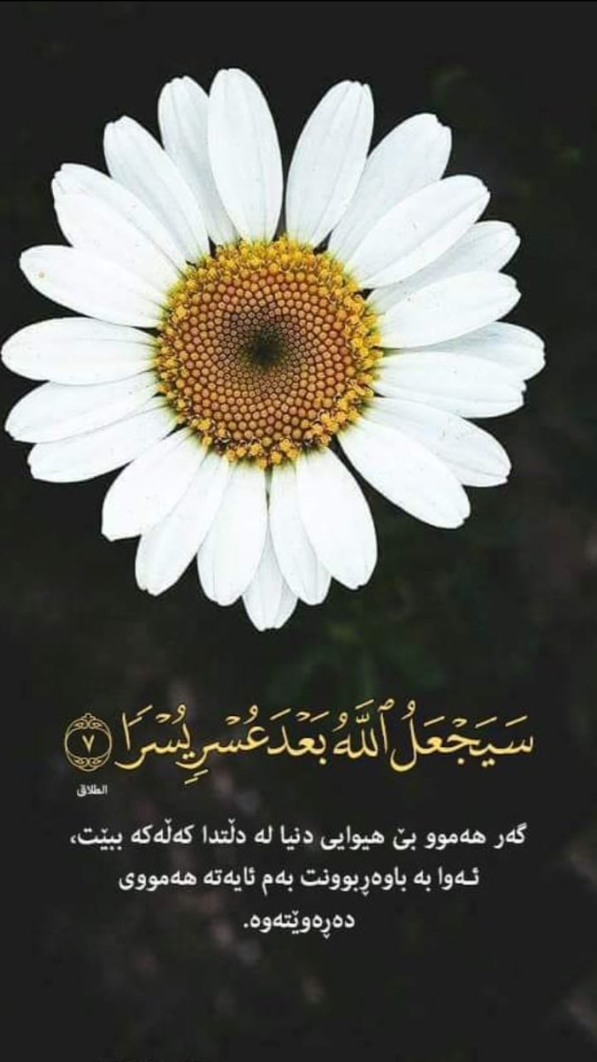 ArinL20's tweet photo. https://t.co/OhgYRPQKqk