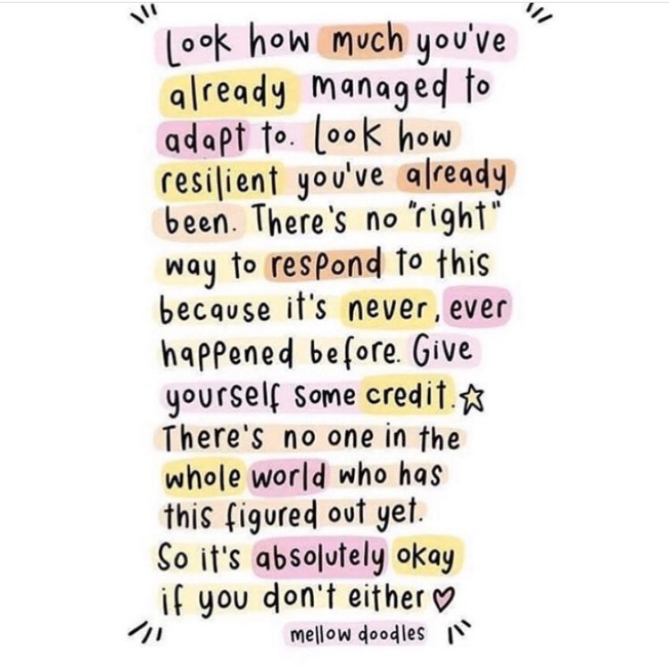 Lauri Duarte tweet media