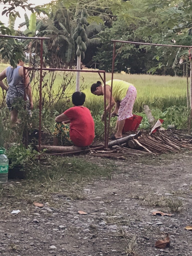 AirAcheAh's tweet photo. I hate to brag but I have neighbors here who are also affected. They don't have much too, just like many of us. But they decided to plant veges here so they could have something to eat. Instead of rallying against the government 
#istandwiththepresident 
#IStandWithTheFilipinos https://t.co/959BFU458N